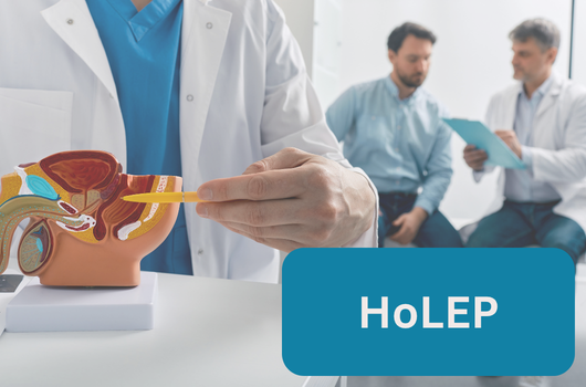 HoLEP